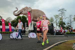 BIB: 
                            <button type="button" onclick="openModal(26528582)" class="btn btn-primary btn-sm float-right btn-popup" data-toggle="modal" data-target=".modal-high-quality">
                        <i class="fas fa-shopping-cart"></i> Add to Cart
                    </button>
                                            <button type="button" onclick="isThisMe(26528582, true)" class="btn btn-success btn-sm float-right btn-popup btn-isme hidden" data-toggle="tooltip" data-placement="bottom" title="นี่คือรูปของคุณใช่ไหม คลิกที่นี่เพื่อเอาเข้าอัลบั้ม">
                        <i class="fas fa-plus"></i> Add to album
                    </button>
                    <button type="button" onclick="isThisMe(26528582, false)" class="btn btn-warning btn-sm float-right btn-popup btn-isnotme hidden">
                        <i class="fas fa-ban"></i> Remove from album
                    </button>